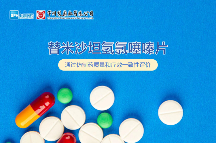 乐玩在线手机版（大中国区）替米沙坦氢氯噻嗪片通过一致性评价
